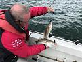 Click image for larger version

Name:	double shot of codling off Boulmer 17 June 2018.jpg
Views:	148
Size:	20.2 KB
ID:	1524174